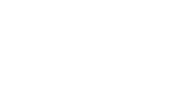 Skinny Strats Logo